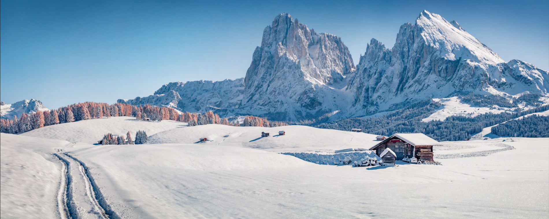 Dé specialist skireizen in clubformule